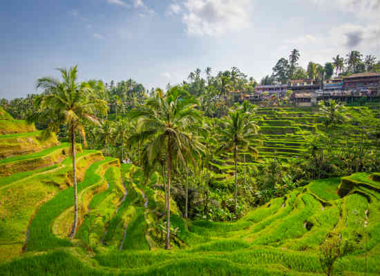 Where to go in Bali to avoid 'Bali Bogans' - CANSTAR