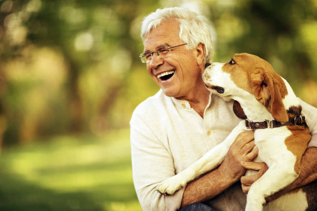 ancianos dentures tollensesee pets neubrandenburg dejan huella trencats willows canstar dingonatura mascota hassle commitment adultos vínculos