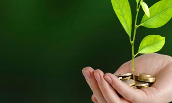 managed-vs-indexed-funds