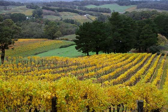 South Australia – Adelaide Hills