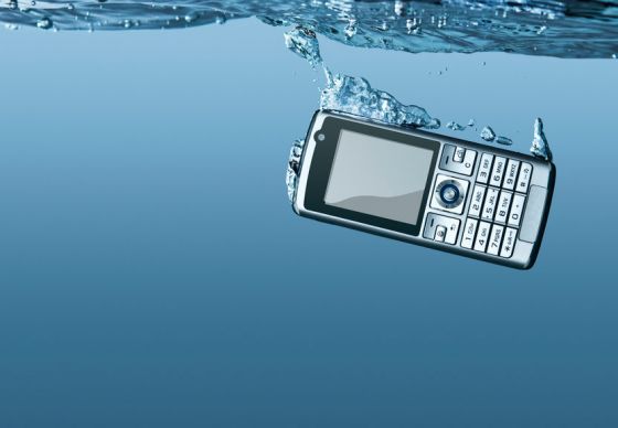 Dropped Your Phone in Water? Here's What You Can Do | Canstar