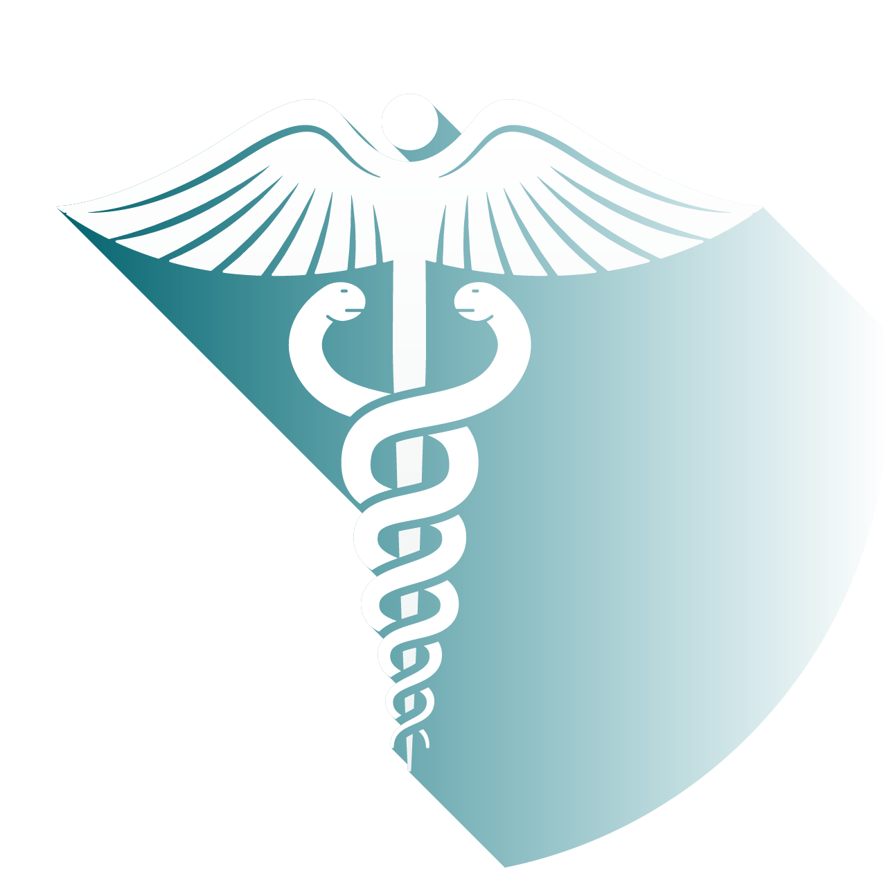 icon medical