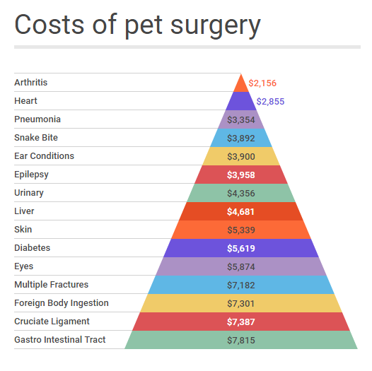 Vet Prices: What's the cost of veterinary treatment? - Canstar