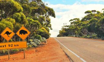 backpacker-car-insurance
