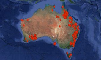 donate-bushfire
