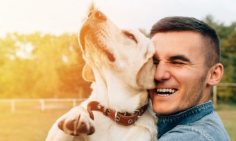 pet-insurance-customer-sat-award-2020